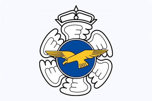 Военно-воздушным силам Финляндии - 100 лет